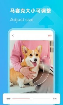 loox马赛克 第1张图