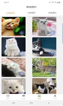 宠猫狗翻译 第1张图