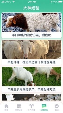 养羊指南APP