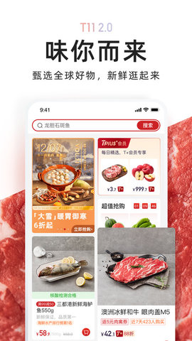 T11APP