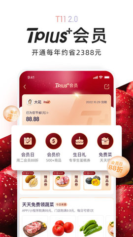 T11 第1张图