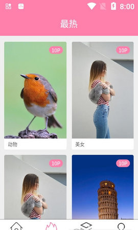 茶杯狐壁纸APP
