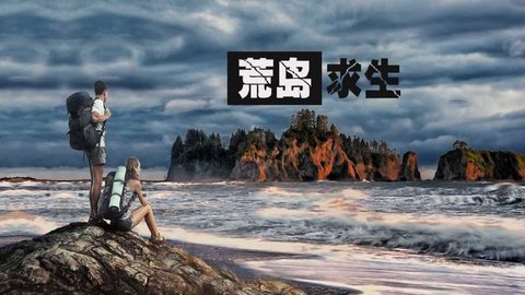 荒岛求生游戏合集