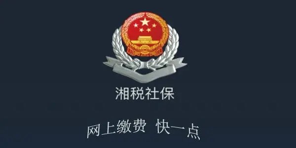 湘税社保历史版本