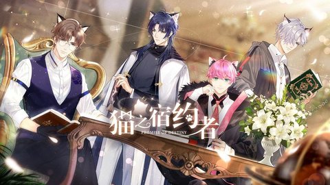 猫之宿约者版本大全
