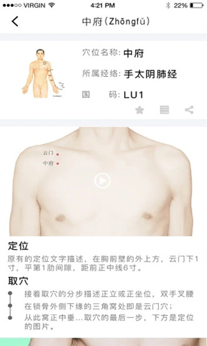 灸大夫经络图解APP