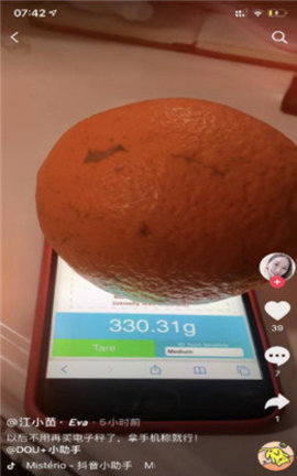 屏幕电子称手机appAPP