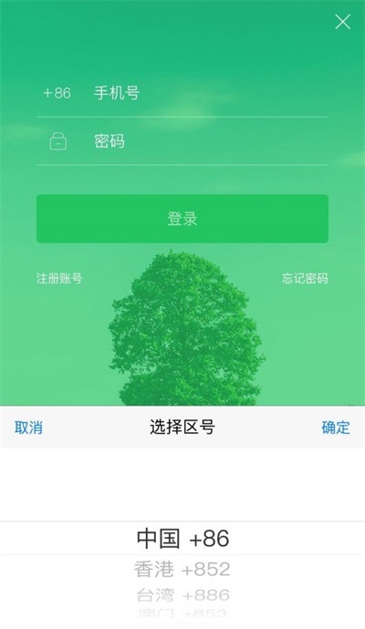 大树旅行免费APP