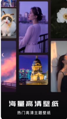 蓝小鸟壁纸手机版APP