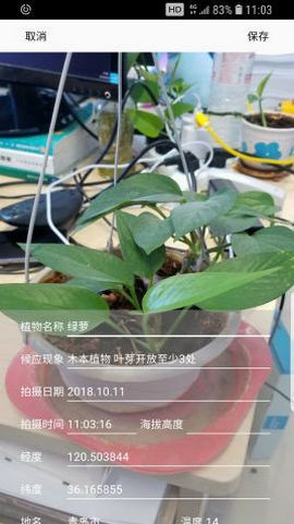 物候相机手机版APP