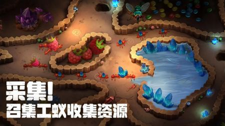 蚂蚁大冒险官方游戏