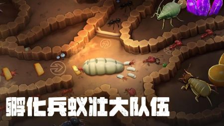蚂蚁大冒险官方游戏