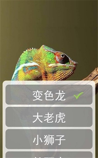 屁屁体免费APP