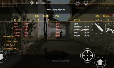 CSWgE游戏
