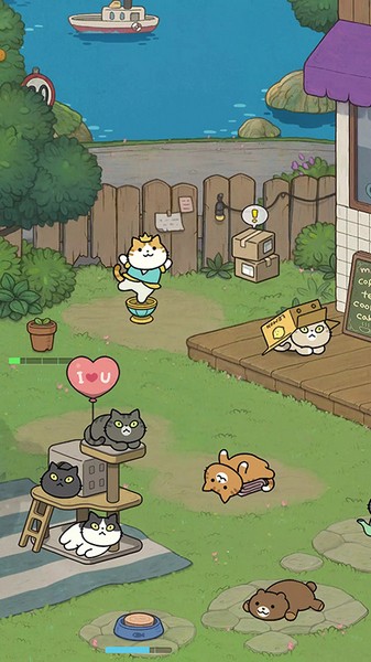 神秘猫咪字典游戏
