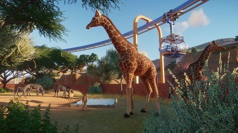 动物园之星steam免费游戏