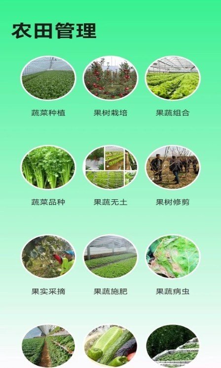 绿色农场APP