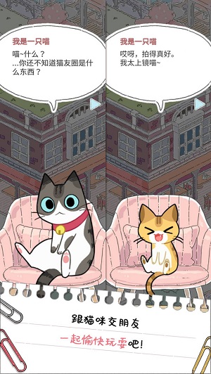 猫友圈游戏