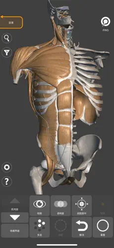 艺术家之3d解剖图APP