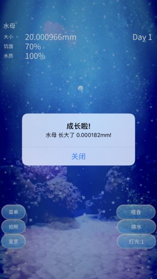 养育水母游戏