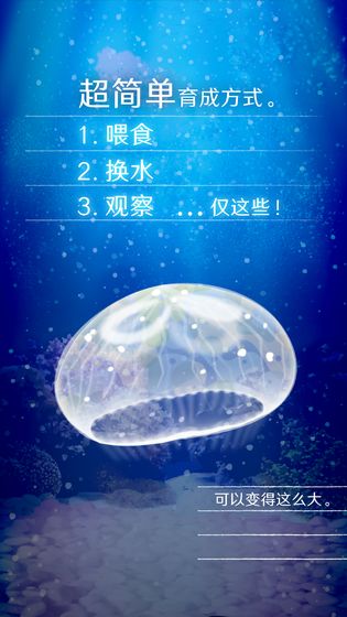 养育水母游戏