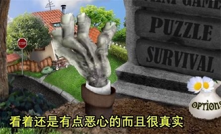 植物大战僵尸写实游戏
