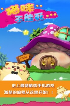 猫咪不能死游戏