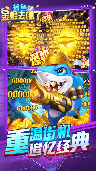 金蟾去哪了游戏