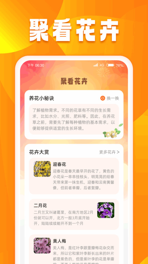 口袋聚看APP