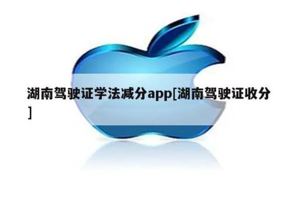 学法减分app推荐