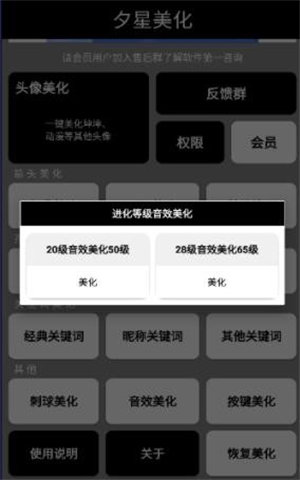 夕星美化包APP