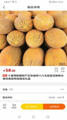 美丽新疆游戏