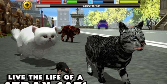 模拟流浪猫(StrayCatSim)游戏