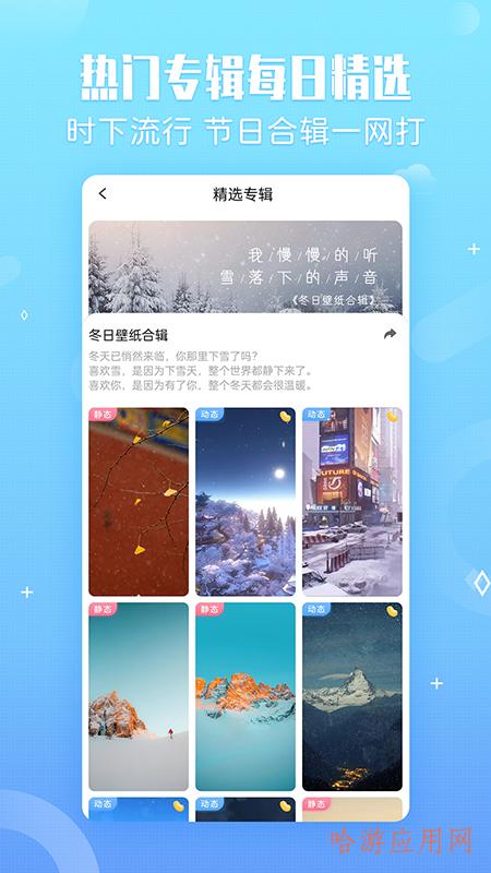 小鸟壁纸手机版APP