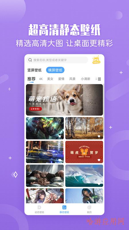 小鸟壁纸手机版APP