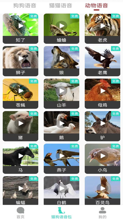 多多猫语狗语翻译器APP