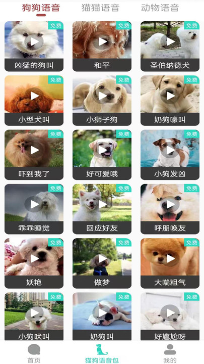 多多猫语狗语翻译器APP
