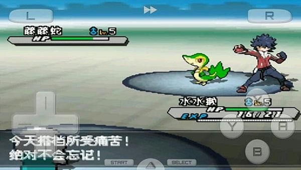 精灵宝可梦白2游戏