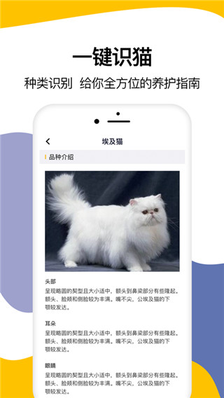 猫语翻译器ios版APP