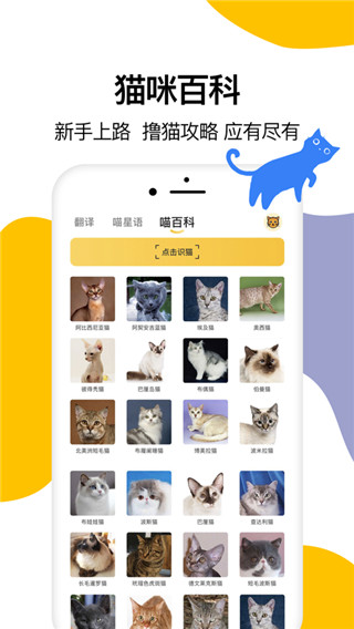 猫语翻译器ios版APP