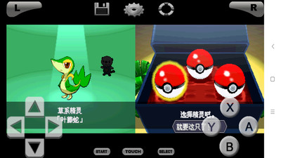 口袋妖怪黑白中文版游戏