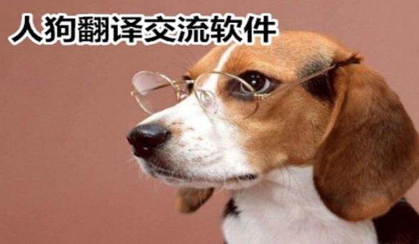 狗狗翻译软件哪个好用