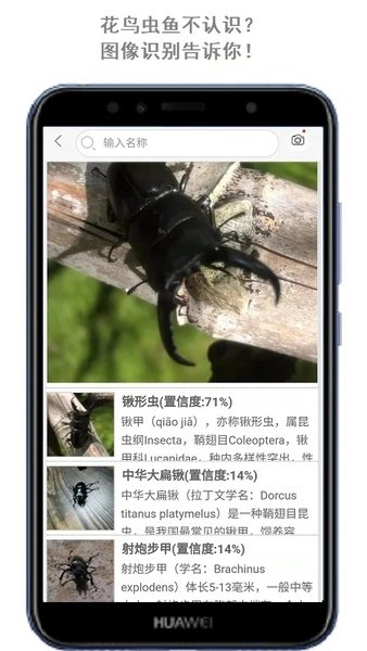 识万物APP