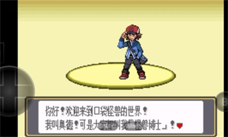 口袋妖怪黑白游戏
