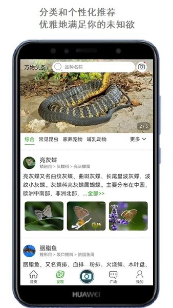 识万物APP
