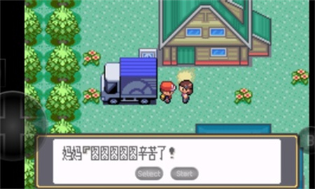 口袋妖怪黑白游戏