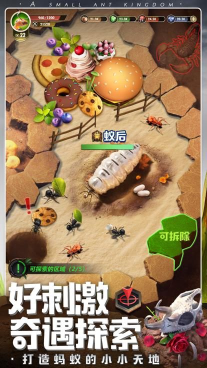 小小蚁国37版游戏