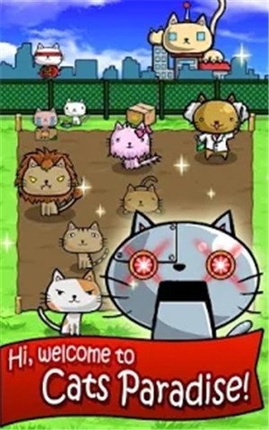 猫咪星球便便游戏