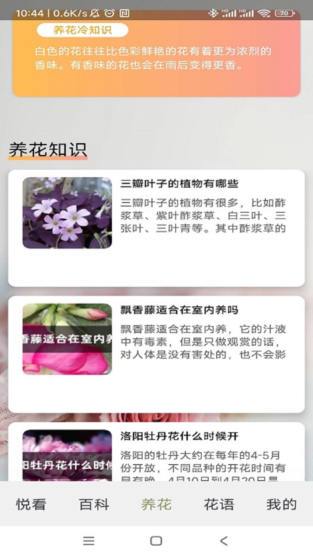 四季养花APP