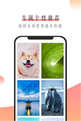 米柚壁纸APP